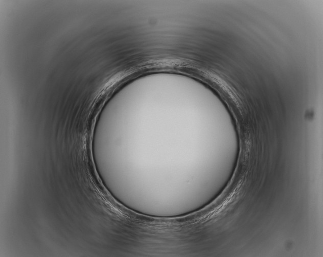 X0000096140778200801180851