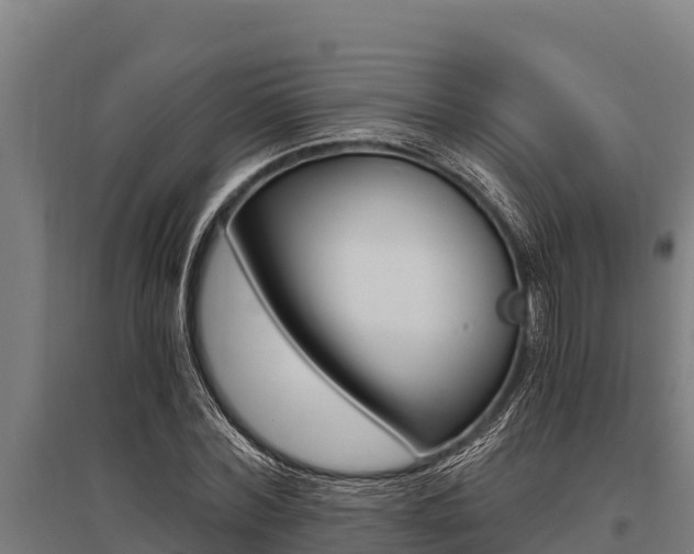 X0000096140780200801180851