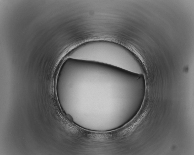 X0000096140781200801180851
