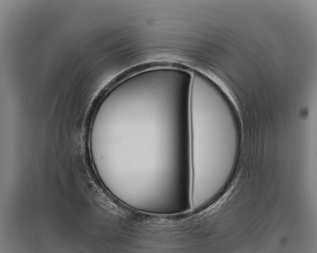 X0000096140783200801180851