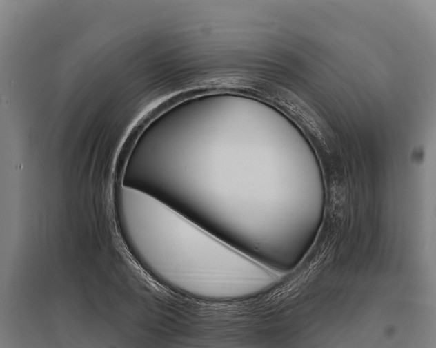X0000096140784200801180851