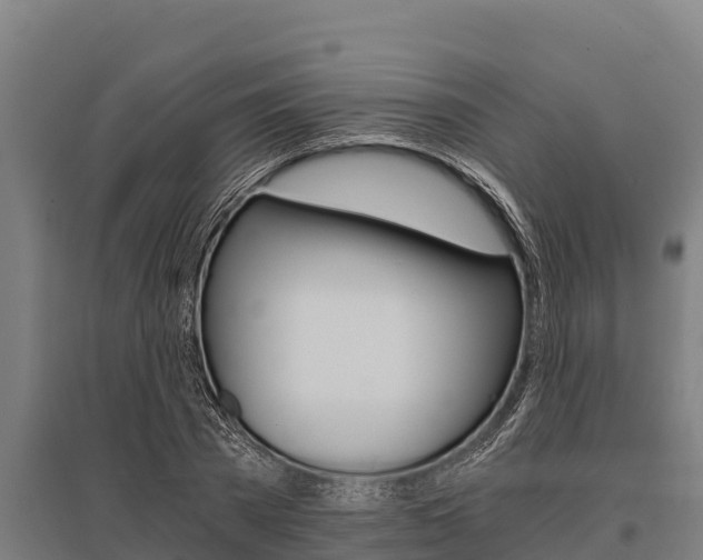 X0000096140785200801180851