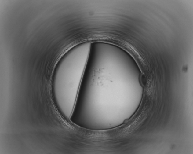 X0000096140786200801180851