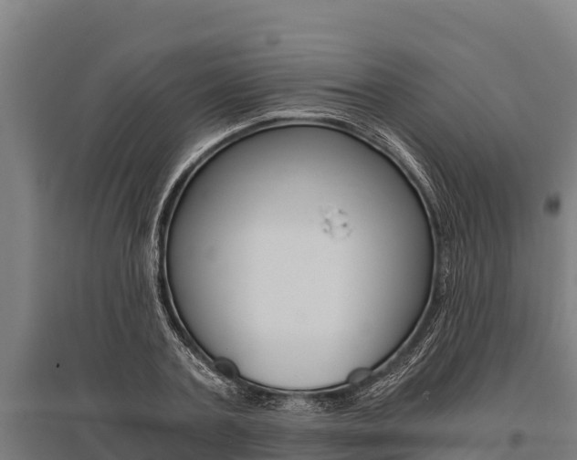 X0000096140787200801180851