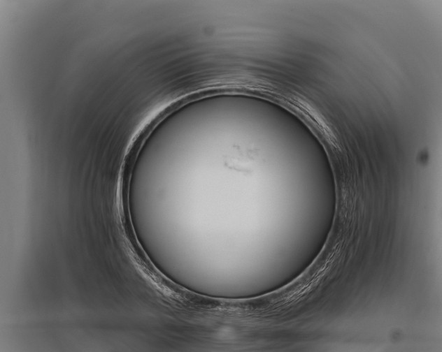 X0000096140788200801180851