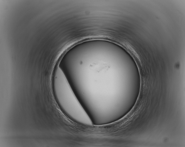 X0000096140789200801180851