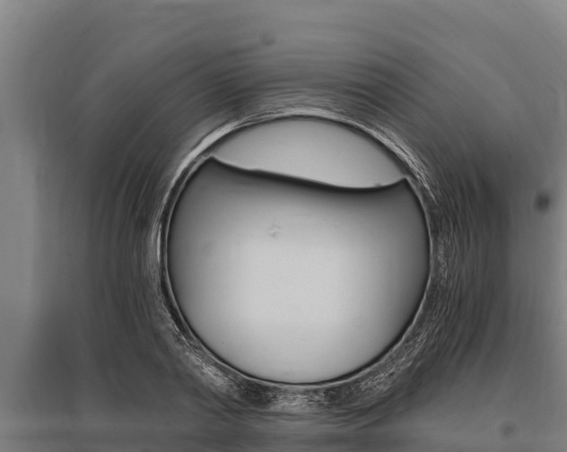 X0000096140790200801180851