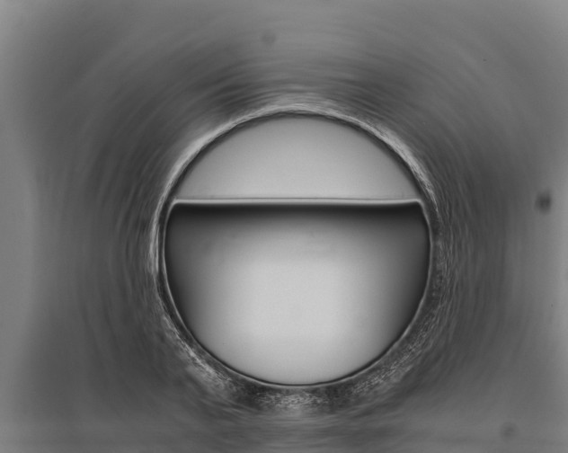 X0000096140791200801180851