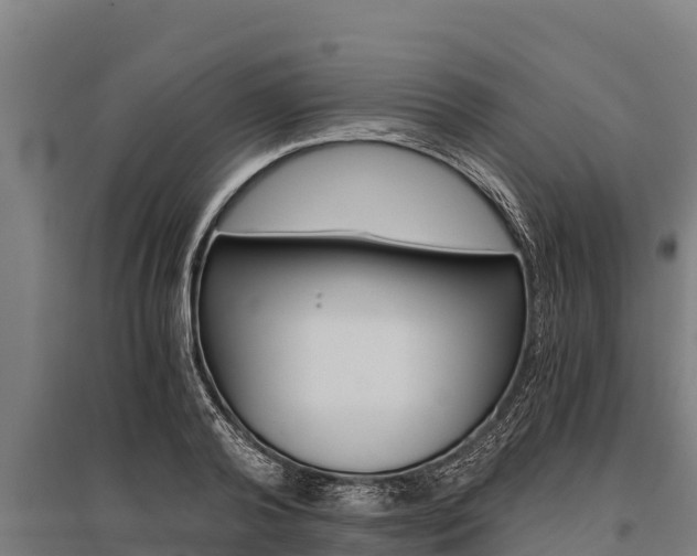 X0000096140792200801180851