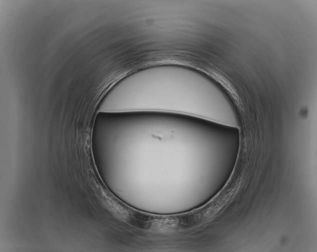 X0000096140793200801180851