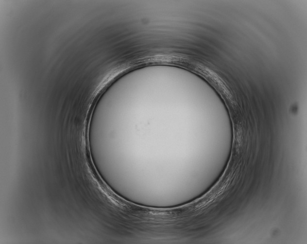 X0000096140794200801180851