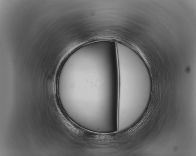 X0000096140795200801180851