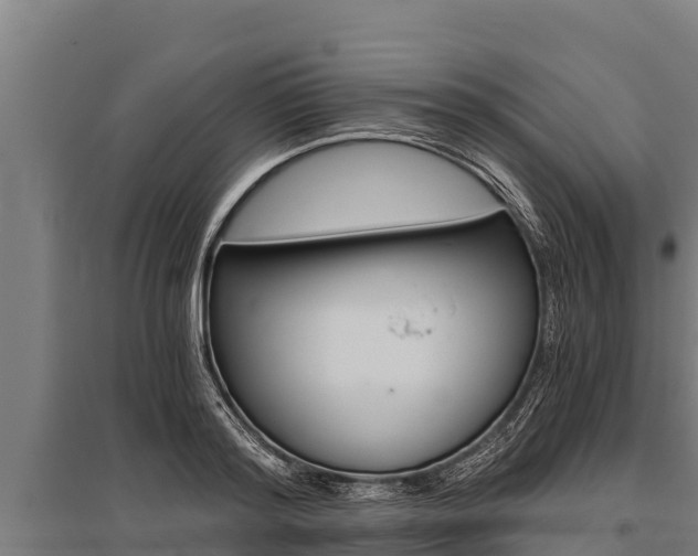 X0000096140796200801180851