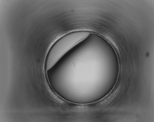 X0000096140797200801180851