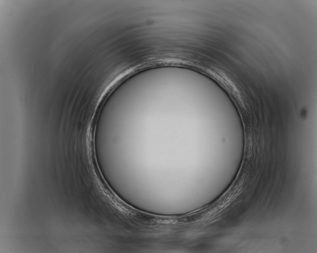 X0000096140798200801180851