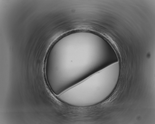 X0000096140799200801180851