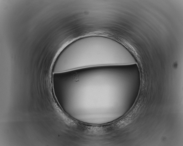 X0000096140800200801180851