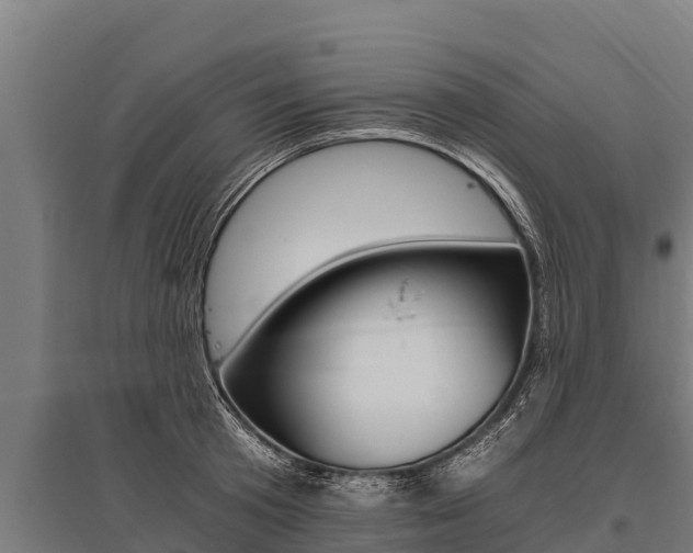 X0000096140801200801180851