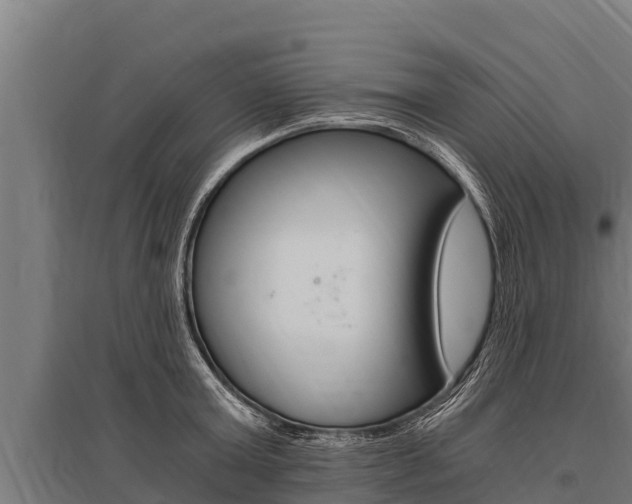 X0000096140803200801180850
