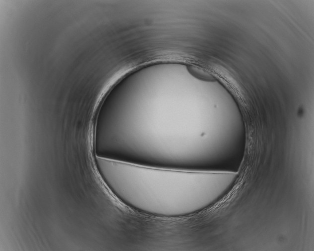 X0000096140804200801180850