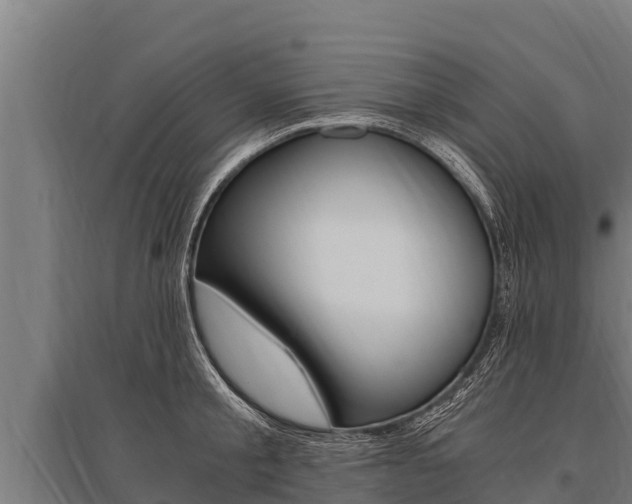 X0000096140805200801180850