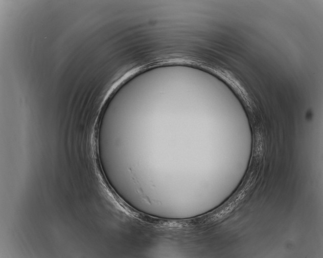X0000096140806200801180850