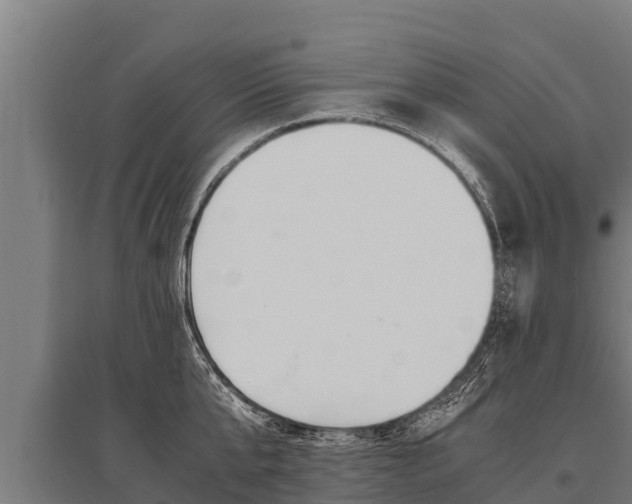 X0000096140807200801180850