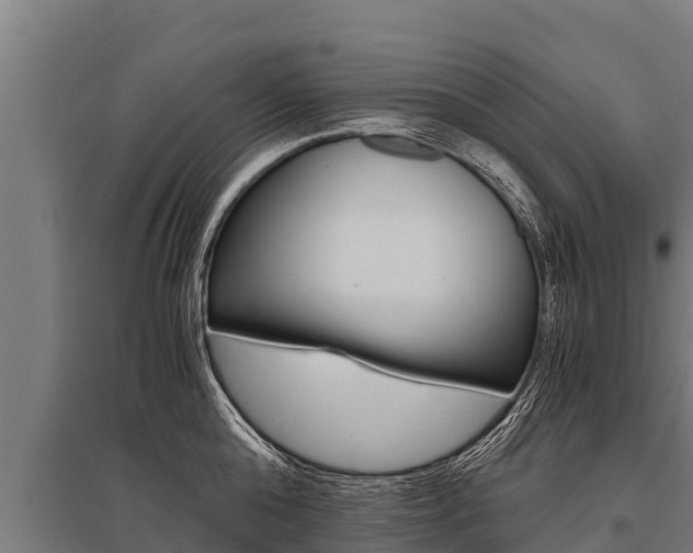 X0000096140808200801180850