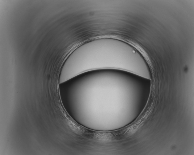 X0000096140809200801180850