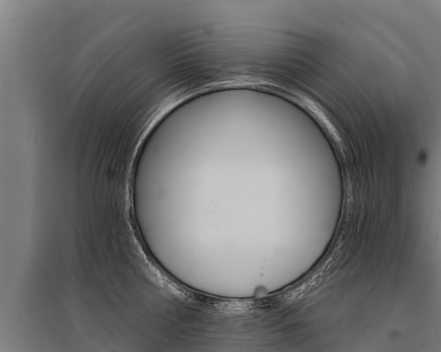 X0000096140810200801180850