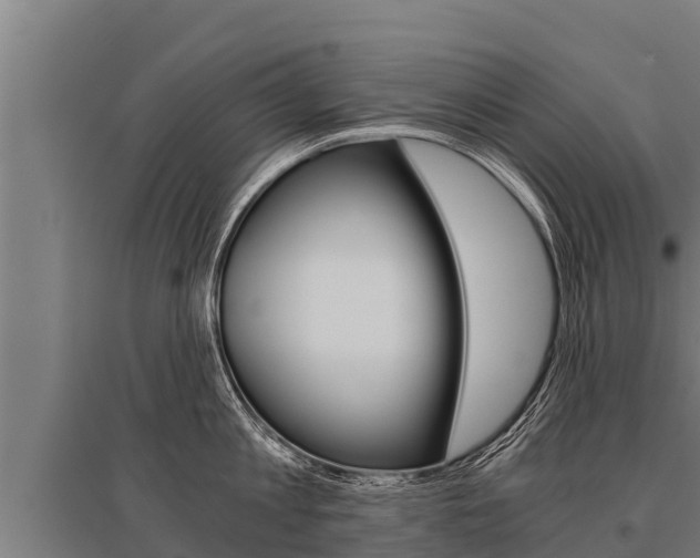 X0000096140813200801180850