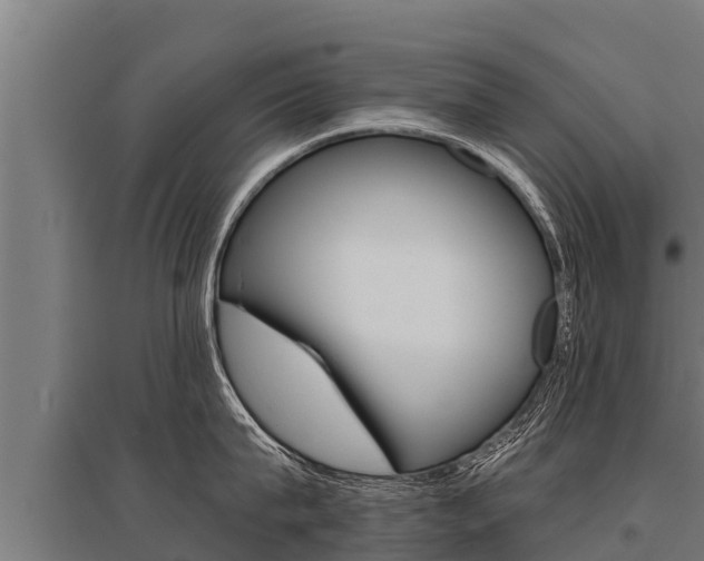 X0000096140815200801180850