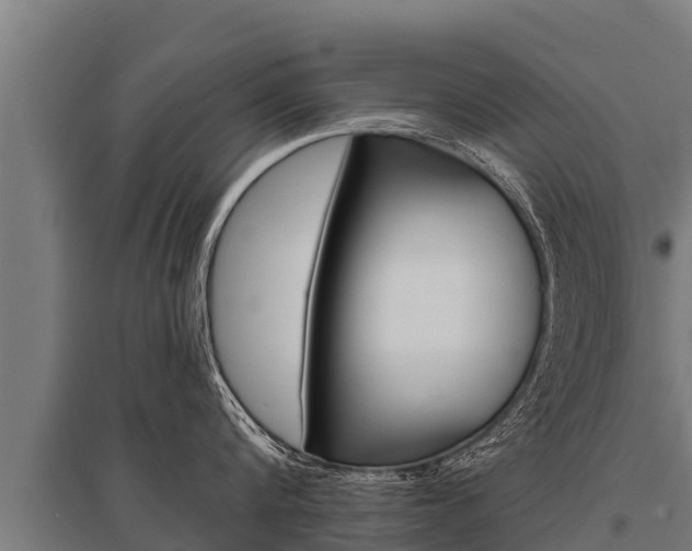 X0000096140816200801180850