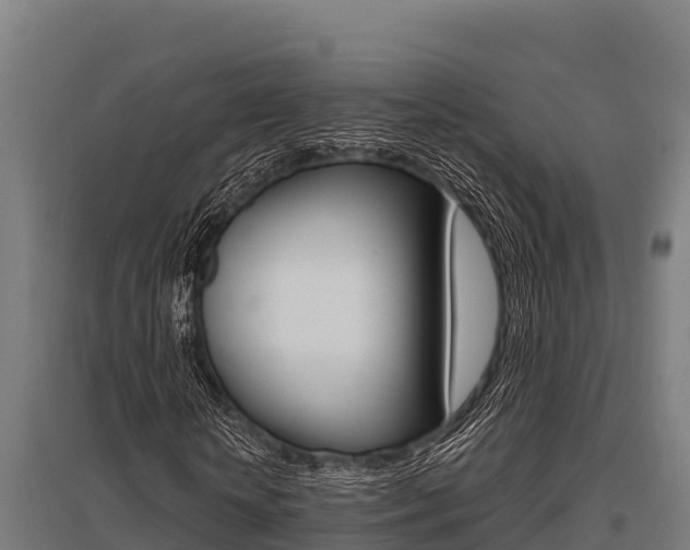X0000096140818200801180849