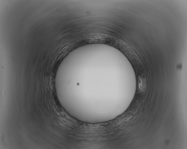 X0000096140819200801180849