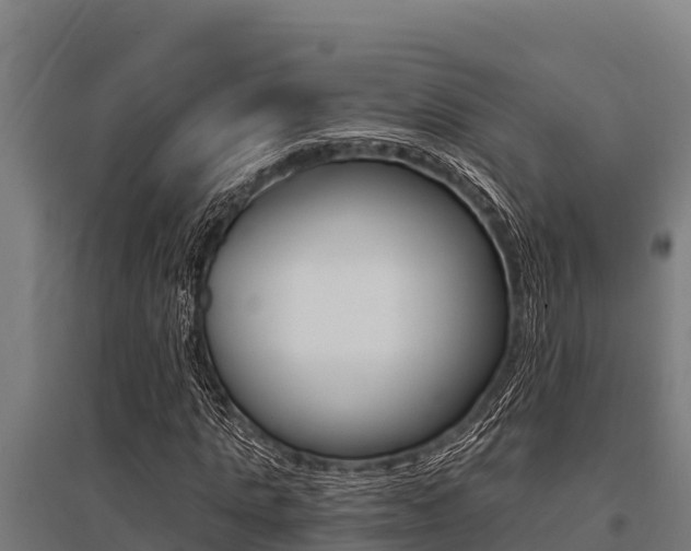 X0000096140821200801180850