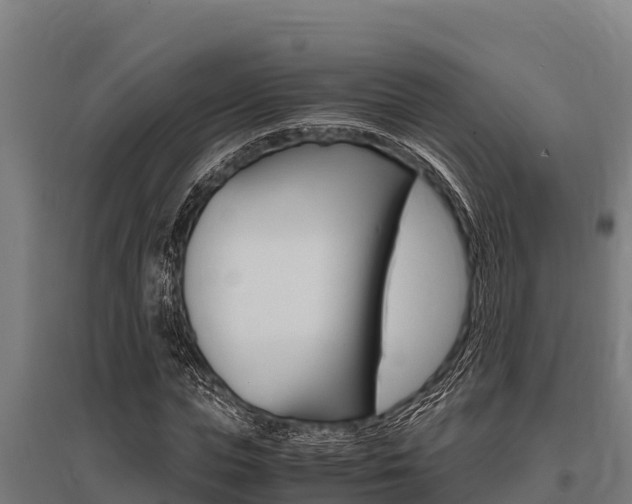 X0000096140823200801180850