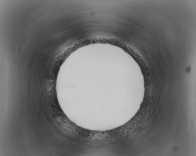 X0000096140824200801180850