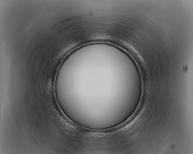 X0000096140825200801180850