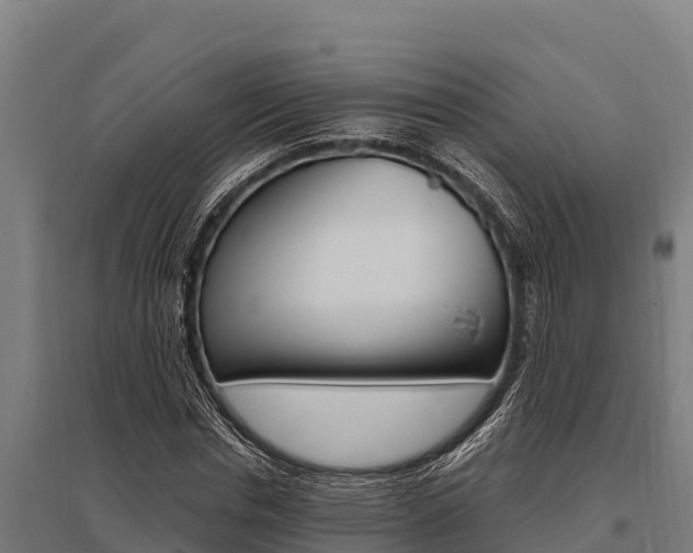 X0000096140826200801180850