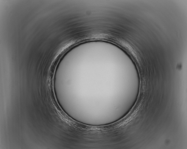 X0000096140827200801180850