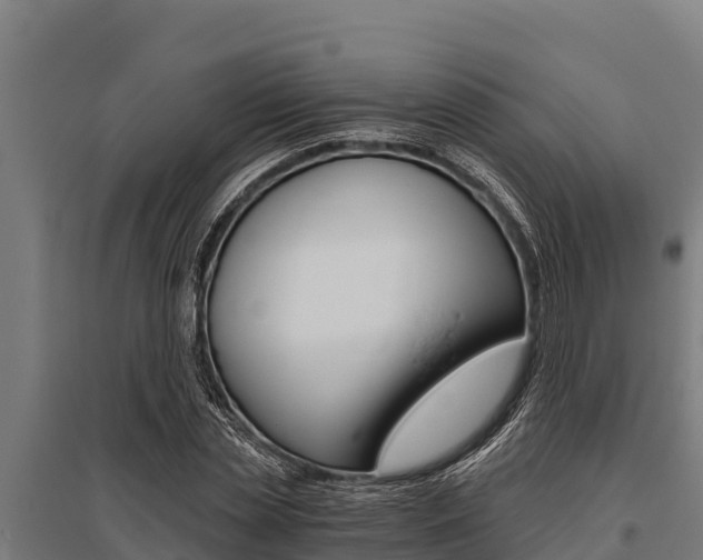X0000096140829200801180850