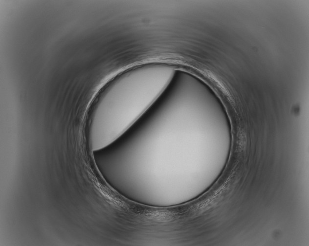 X0000096140830200801180850