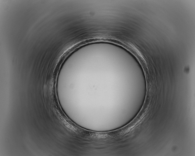 X0000096140831200801180850