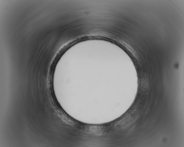 X0000096140832200801180850