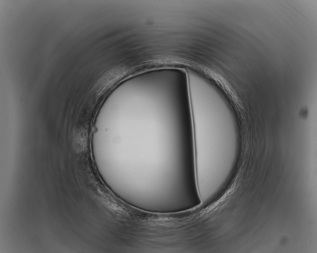 X0000096140833200801180850