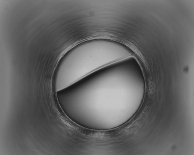 X0000096140834200801180850