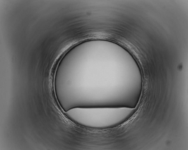 X0000096140835200801180850
