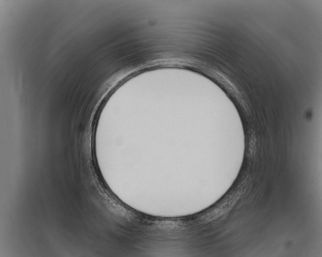 X0000096140836200801180850