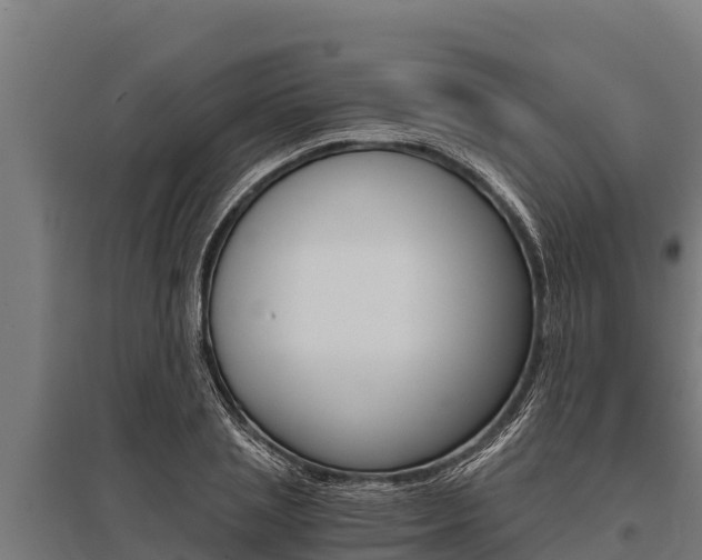 X0000096140837200801180850